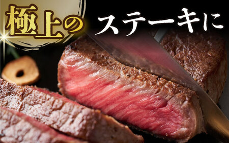 【A4～A5】長崎和牛モモステーキ　約500g（100g×5p）【株式会社 MEAT PLUS】[DBS025]