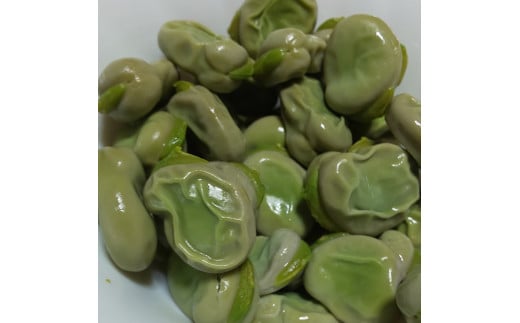 5月発【訳あり♫ 】”みずみずしい”1粒 そら豆（1800ｇ）　from 名水の里　神奈川県秦野市　　　そら豆 そらまめ ソラマメ 野菜 農作物 産地直送 農家直送　おつまみ　おやつ　ゴールデンウィーク　大谷　小谷神奈川県秦野　秦野　008-47　