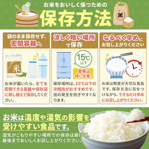 【定期便3回】令和7年産 熊本県産 くまさんの輝き 白米 20kg こめ 米
