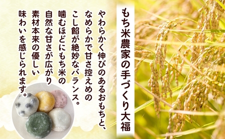 もち米農家の大福 5種 計30個 セット もち米 米 お米 大福 和菓子 お菓子 デザート モチモチ もちもち おやつ 国産もち米 国産 日本産 つきたて 冷凍 本格的 お取り寄せ ご当地 送料無料 