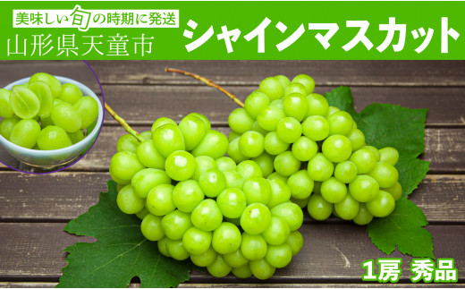 08-06-005　ぶどう(シャインマスカット)1房