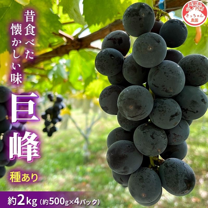 【ふるさと納税】【2026年9月～発送】種あり巨峰 約2kg 安心安全 こだわりの栽培方法 除草剤不使用 栽培期間中 ネオニコチノイド系農薬不使用 化学合成肥料不使用　お届け：2026年9月下旬～10月下旬