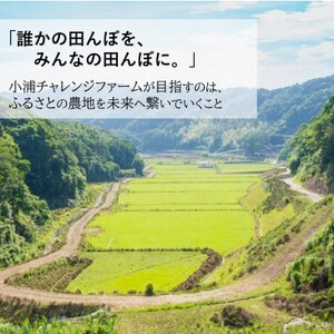 【毎月定期便】産地直送!米と野菜の詰め合わせ定期便【小浦れんげ米(精米)2kg+新鮮野菜5種】全3回【配送不可地域：離島】【4080160】