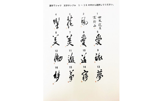 文化功労者 尾崎邑鵬 揮毫  漢字Tシャツ　XLサイズ（11.進）