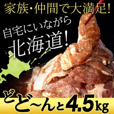 ふるさと納税 千歳市 味付 ラムジンギスカン 4.5kg≪ 肉の山本 ≫ 千歳ラム工房 ラム肉 北海道 千歳 |  | 01