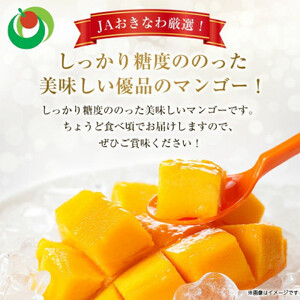 【発送月固定定期便】2024年発送マンゴー2種の食べ比べセット 全2回【配送不可地域：離島】【4012836】