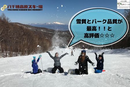 【2025-2026シーズン】八千穂高原スキー場　土日祝日限定　リフト１日券　ファミリーAセット（大人1名・子ども1名　計2名）［AD-108］