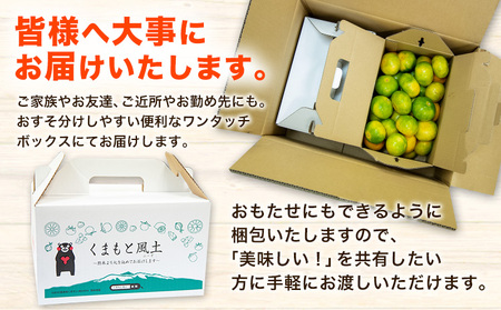 訳あり みかん ひとくちもぎたてみかん 約7kg (3.5kg×2箱)  S-3Sサイズ みかん 訳ありみかん ご家庭用みかん 熊本県産みかん （荒尾市産含む）  期間限定 フルーツみかん 秋 旬 柑