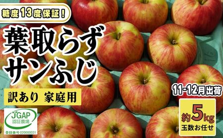 りんごサンふじ 訳あり家庭用 葉取らず青森県産りんご【約5kg】