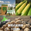 【ふるさと納税】【令和7年産予約受付！】野菜の定期便（3ヶ月）野菜　1kg　12本　9kg　送料無料　北海道　北海道美瑛　北海道美瑛町　美瑛　定期便　アスパラガス　アスパラ　とうもろこし　じゃがいも　秋野菜　メークイン　男爵　キタアカリ　黒木農場　[040-12]