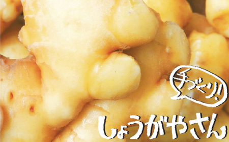しょうが 加工品 4種セット（小） 生姜[AEAO006]