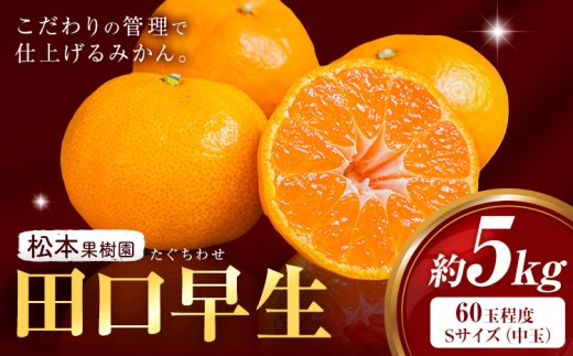 天草産 早生みかん 田口早生 約5kg 《11月中旬-11月下旬出荷予定》果物 フルーツ みかん ミカン 蜜柑 柑橘 生産者直送 産地直送 熊本県 天草 苓北 送料無料