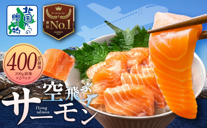 010B1647y 【年内発送】アトランティック サーモン 400g【フィレ エコパック 小分け 200g×2パック 訳あり サイズ不揃い 刺身 さーもん 冷凍 北国からの贈り物】