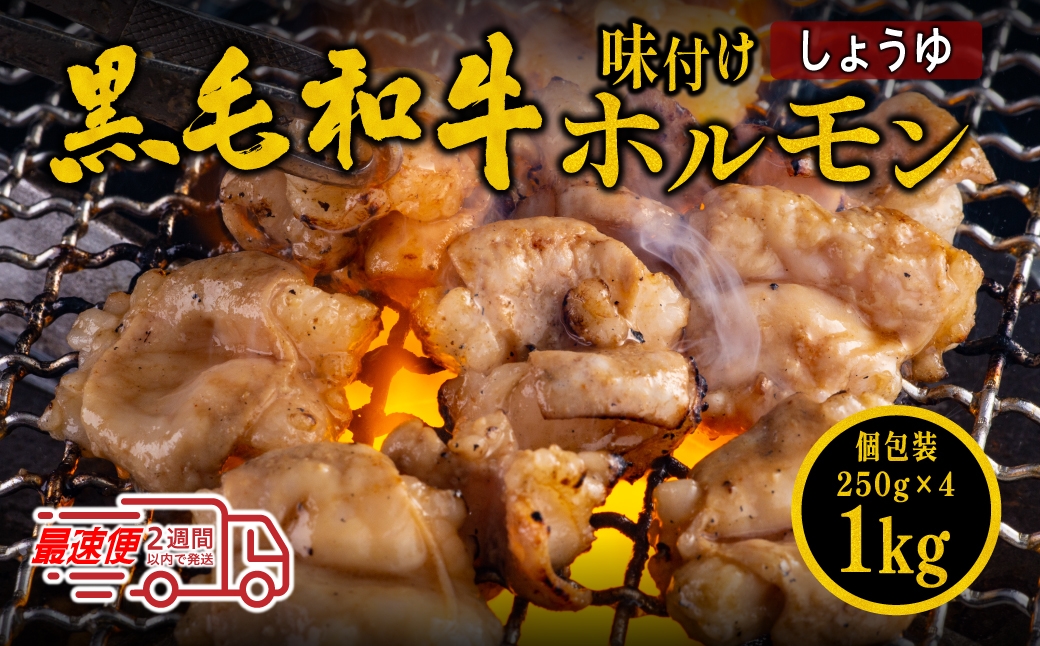 
            【12/22迄年内発送・選べる配送月】国産黒毛和牛 タレ漬けホルモンミックスしょうゆ 500g ( 250g x 4袋 ) 焼肉用 ホルモン 肉 小分け モツ
          