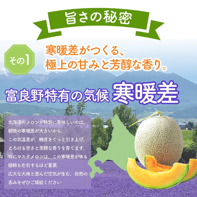 【2026年7月中旬～発送】北海道 富良野 メロン 2Lサイズ 1.5kg以上×1玉 (スイートベジタブルファクトリー) メロン フルーツ 果物 新鮮 甘い 贈り物 ギフト 道産 ジューシー おやつ 
