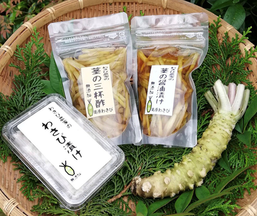 【世界農業遺産認定】西伊豆町の本わさび・無添加漬物セット（岡原わさび） 【12月・1月除く】天城山 清流 しょうゆ漬け 三杯酢漬け わさび漬け 無添加 お刺身 さしみ ステーキ 薬味 冷蔵 伊豆 ギフト お歳暮 お中元