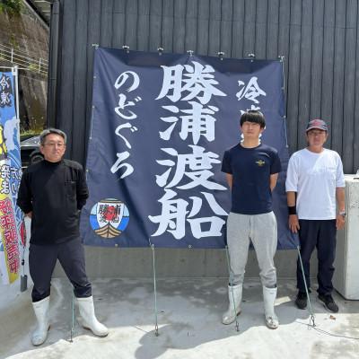 ふるさと納税 海陽町 【4〜5種】勝浦渡船の季節のお魚詰合せセット　《冷凍鮮魚セット》 |  | 02