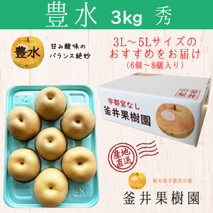 豊水 3kg 6～8玉 旬の梨