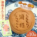 【ふるさと納税】【当店自慢】こだわりの清峰まんじゅう 10個入り【栗まんじゅう本舗　小田製菓】[QAR016]