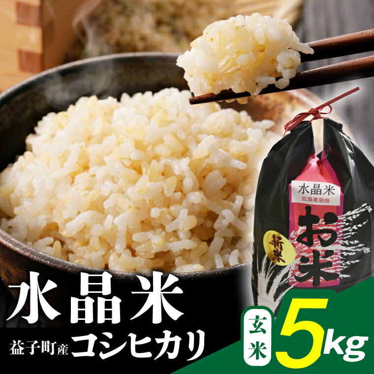 【ふるさと納税】＼令和7年産／ 瀬尾糀店の水晶米 コシヒカリ (玄米) 5kg | 水晶米 コシヒカリ 玄米 ふっくら 益子町 ふるさと納税 (AK014)