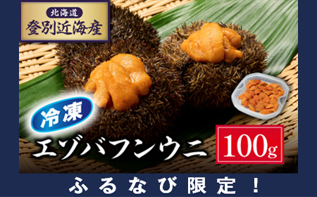 【ふるなび限定】北海道登別近海産エゾバフンウニ（冷凍パック）100g 【ウニ ｳﾆ うに 雲丹 ｴｿﾞﾊﾞﾌﾝｳﾆ エゾバフンウニ バフンウニ ﾊﾞﾌﾝｳﾆ 冷凍 冷凍うに 冷凍ウニ 冷凍ｳﾆ】FN-Limited