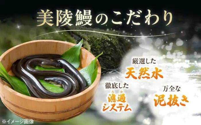 【全6回定期便】鰻 鰻の白焼 3尾/美陵鰻 鰻 うなぎ ウナギ 蒲焼 蒲焼き かば焼き かばやき 白焼き 白焼 しろやき しらやき 特大 肉厚 うな重 うな丼 ひつまぶし 惣菜 おかず タレ 山椒 国