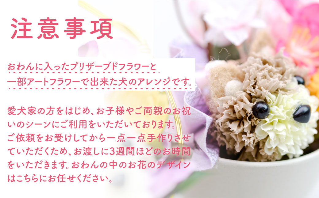 ブリザーブドフラワーの犬のアレンジ・おわんこM KWNAN001