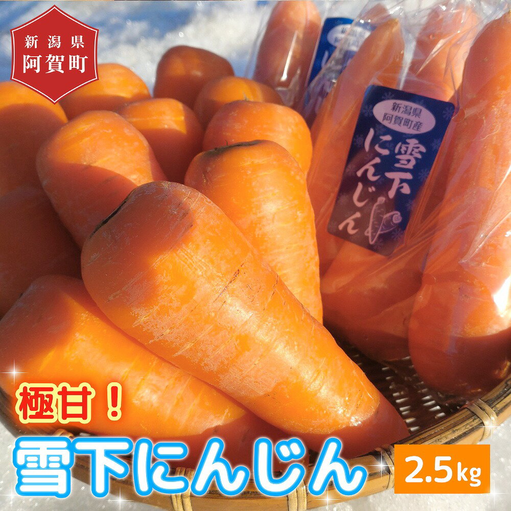 【ふるさと納税】 雪下熟成極甘にんじん 2.5kg 新潟県産 阿賀 上川 | 七福の恵 ベジファームNori 令和8年産 送料無料 お取り寄せ 人参