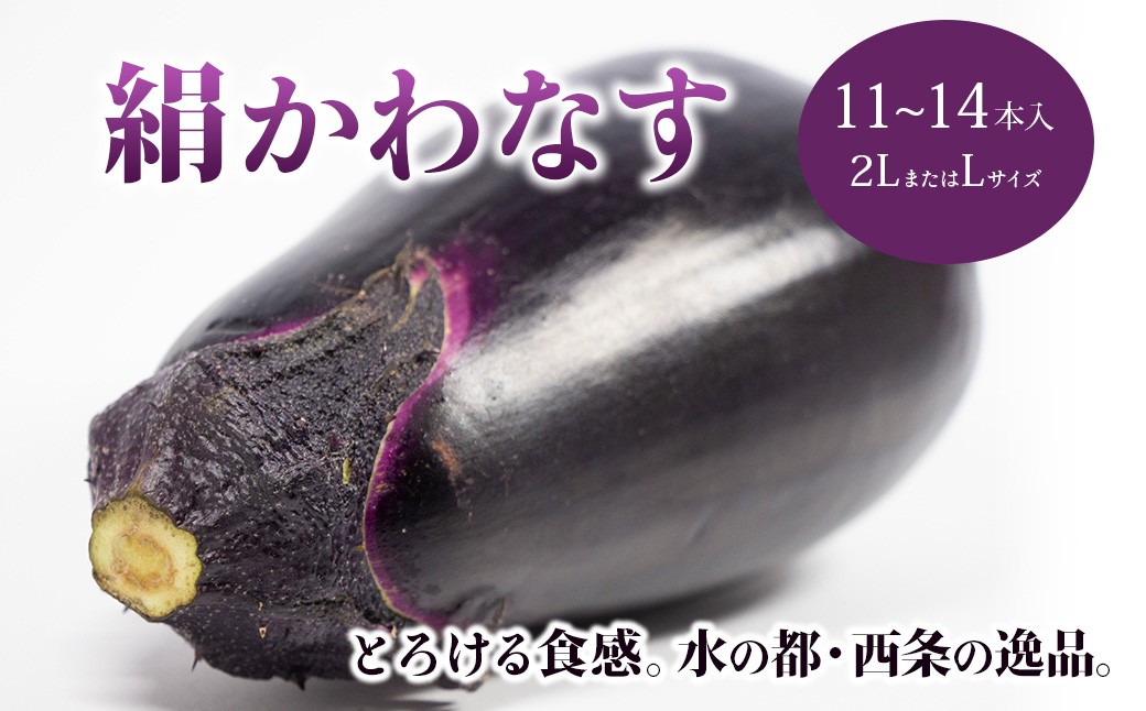 
                  【先行予約】 絹かわなす （JAえひめ未来） 11～14本（2LサイズまたはLサイズ） 【2026年6月中旬～7月発送】 なす ナス 茄子 野菜 やさい 夏野菜 伝統野菜 愛媛県 西条市産 【オンライン決済限定】
                