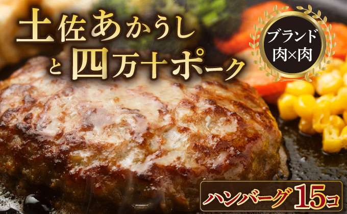 
湯煎するだけ！土佐あかうしと四万十ポークのハンバーグ　１５個セット
