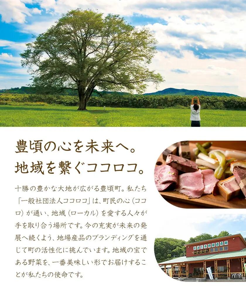 神秘のジュエリーアイス ネックレス＆ピアスセット シルバー 一般社団法人ココロコ《30日以内に出荷予定(土日祝除く)》北海道 豊頃町 特産 ジュエリーアイス アクセサリー ネックレス ペンダント ピア