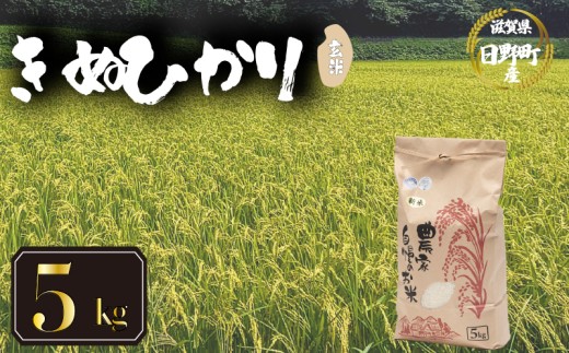 【 令和7年産 米 5kg 】 きぬひかり 米 玄米 国産 滋賀県 日野町 農家直送 お米 おこめ こめ 産地直送 ふるさと納税