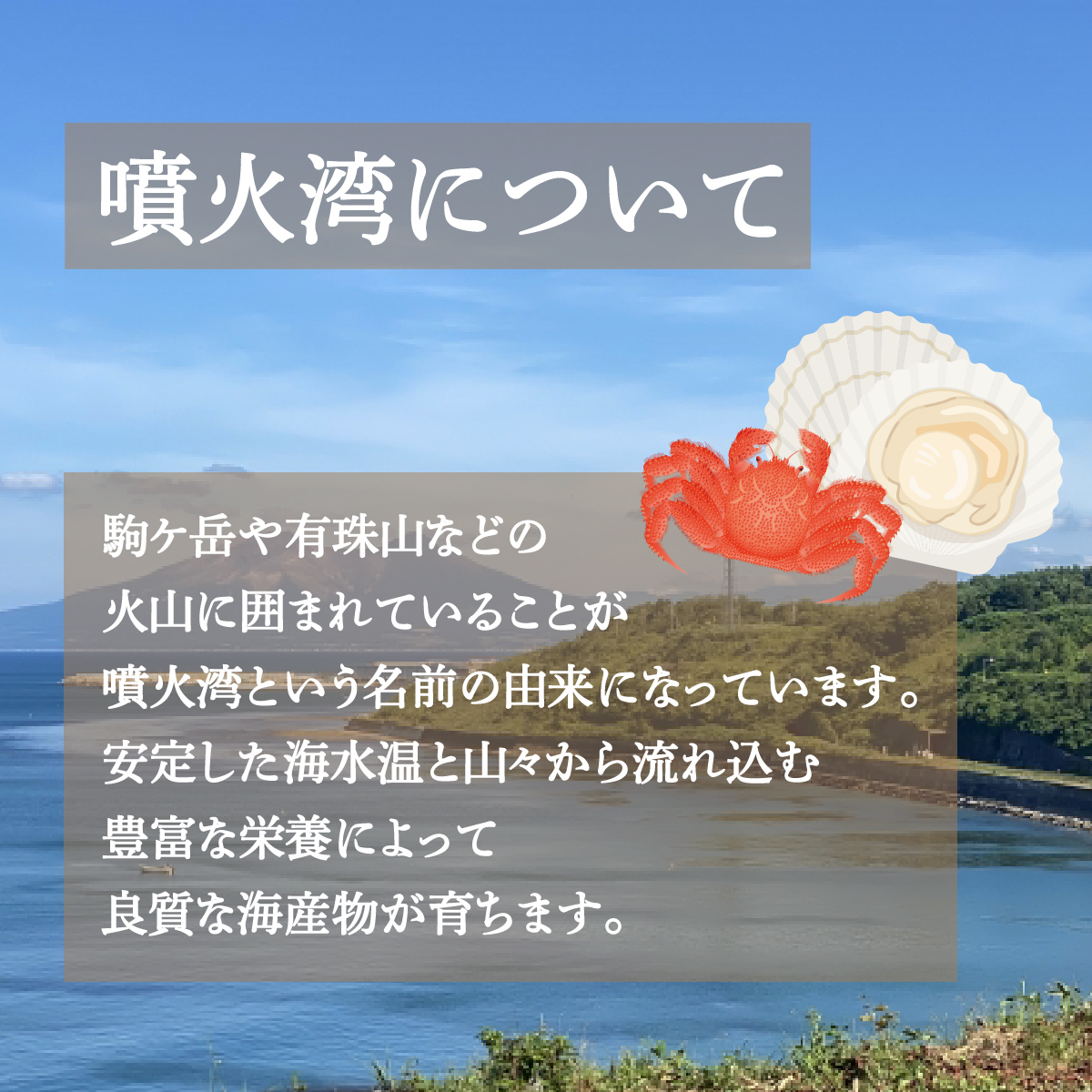 地元漁師 厳選 噴火湾産 旬のお刺身セット 北海道 豊浦 TYUR011_イメージ2