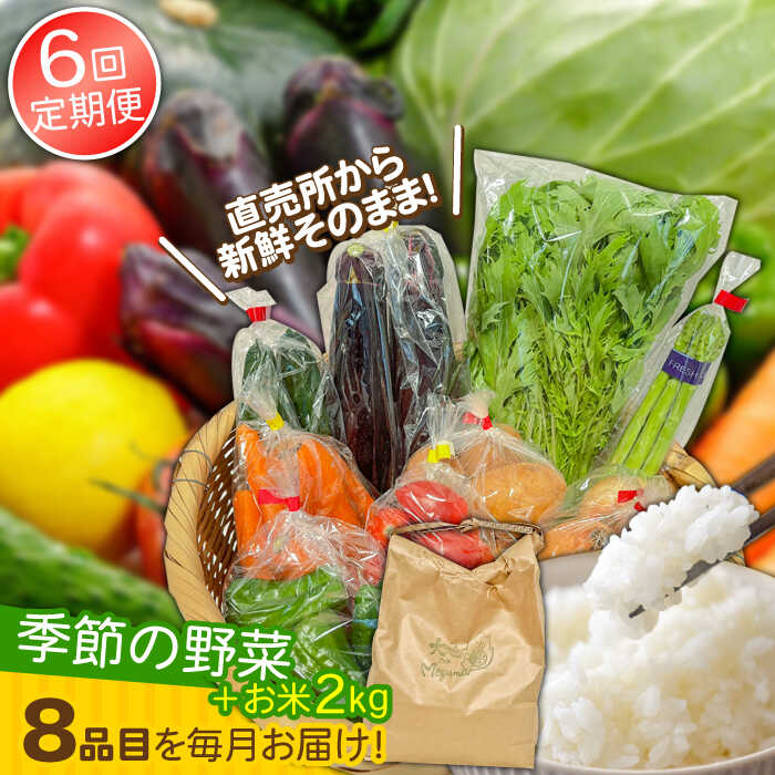 【ふるさと納税】【6回定期便】直売所より発送！お米と季節の野菜セット 8品目 / 米 こめ 白米 野菜定期便 やさい定期便 野菜 やさい 旬 詰め合わせ / 南島原市 / ながさき南部生産組合 [SBW014]