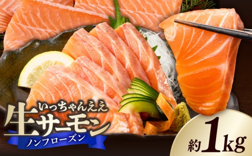 
                  生サーモン ノンフローズン 約 1kg アトランティックサーモン 鮭 手作業 ノルウェー産 刺身 寿司 丼 サラダ 魚 海鮮 グルメ 冷蔵 お取り寄せ 和歌山県 湯浅町 送料無料 _FJ1001
                
