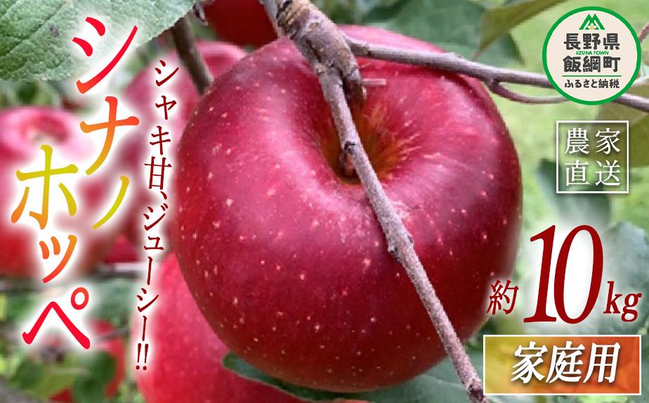りんご シナノホッペ 家庭用 10kg ファームトヤ 2025年11月上旬頃から2025年11月下旬頃まで順次発送予定 令和7年度収穫分 信州 果物 フルーツ リンゴ 林檎 長野 予約 農家直送 長野県 飯綱町 [0946]