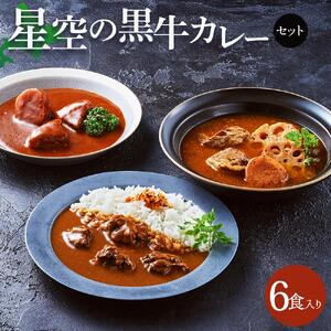 「星空の黒牛」カレー・シチュー・スープカレーセットB 6食　|  スープカレー