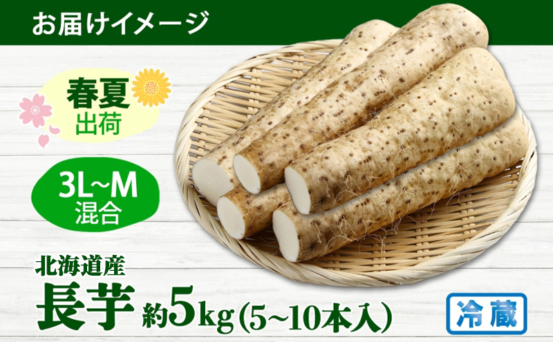北海道産 長いも 春夏出荷 約5kg 2026年5月上旬～6月下旬頃お届け 長芋 ながいも とろろ 農作物 野菜 新鮮 根菜  山かけ 産地直送 お取り寄せ 送料無料 冷蔵 北海道 洞爺湖町