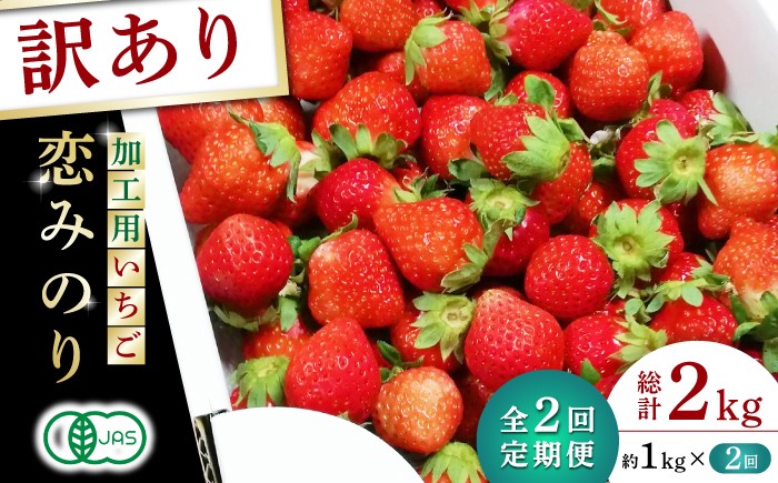 
                  【訳あり】【先行予約】【2回定期便】加工用 いちご 恋みのり 約1kg【伊藤農園】 恋みのり 有機 有機栽培 訳あり 先行予約 定期   [ZBB013]
                