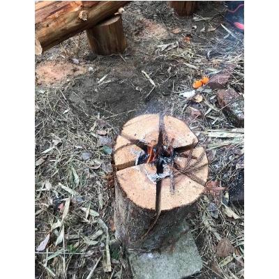 ふるさと納税 木津川市 【京都産】スウェーデントーチ　スモールサイズ(高さ40cm　直径15cm以上) |  | 03