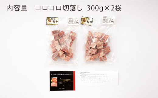 【3回定期便】 佐賀和牛 コロコロ 切落し 600g (300g×2P) 【一ノ瀬畜産】 [NAC107] 肉 精肉 牛肉 佐賀和牛 佐賀県産 黒毛和牛