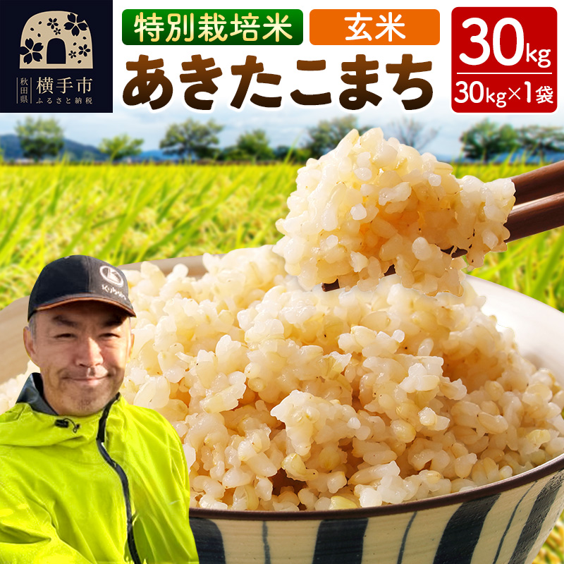 秋田県 横手市 【玄米】令和7年産 特別栽培米 あきたこまち 30kg（30kg×1袋）