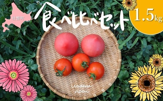 
            北海道壮瞥町産 トマト食べ比べ2種セット1.5kg(ラビットゴッホ＆ルネッサンス)【 ふるさと納税 人気 おすすめ ランキング トマト とまと 野菜 ラビットゴッホ ルネッサンス サラダ スライス 産地直送 北海道産 北海道 壮瞥町 送料無料 】 SBTAJ012
          