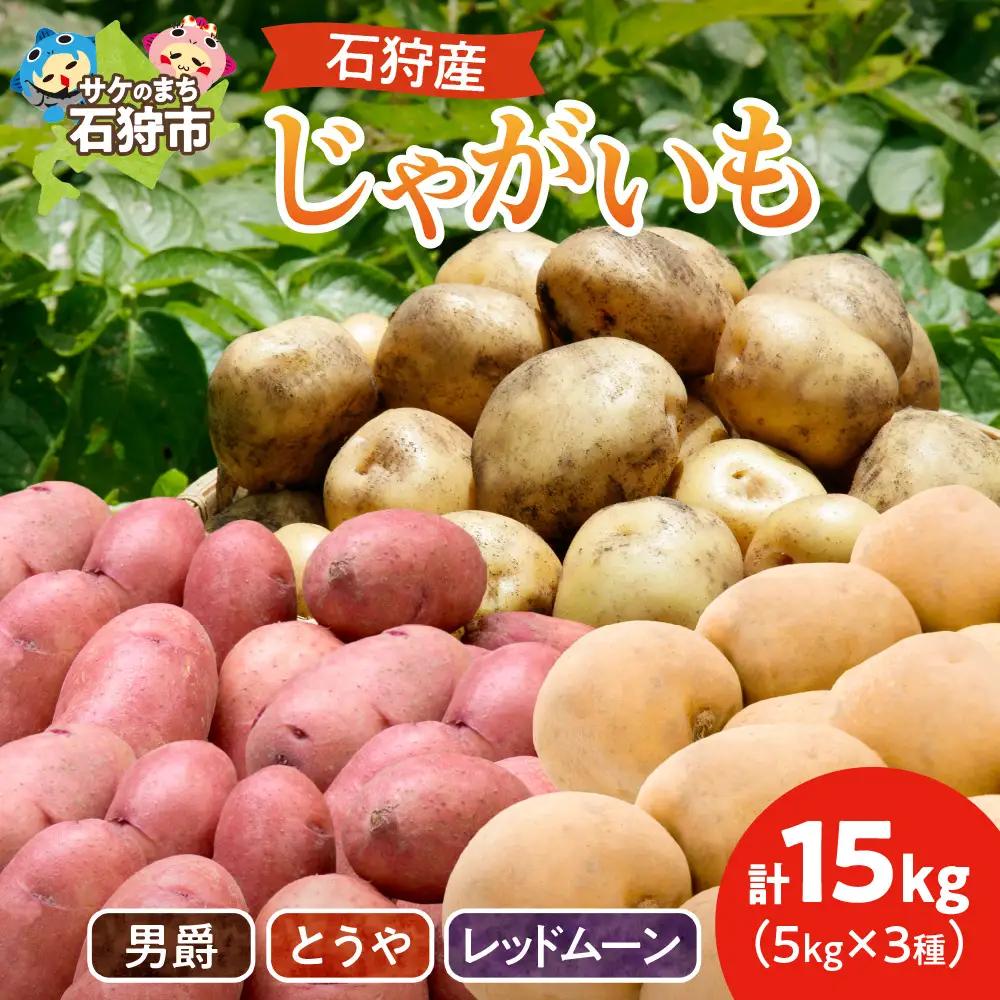 石狩産 じゃがいも3種セット(男爵・とうや・レッドムーン) 15kg【9月発送】｜ ふるさと納税 北海道産 じゃがいも 詰合せ 野菜 北海道 石狩市