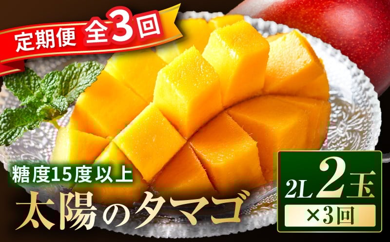 
            《2026年発送先行予約》【数量・期間限定】【全3回】太陽のタマゴ定期便_M348-T010-3-1
          