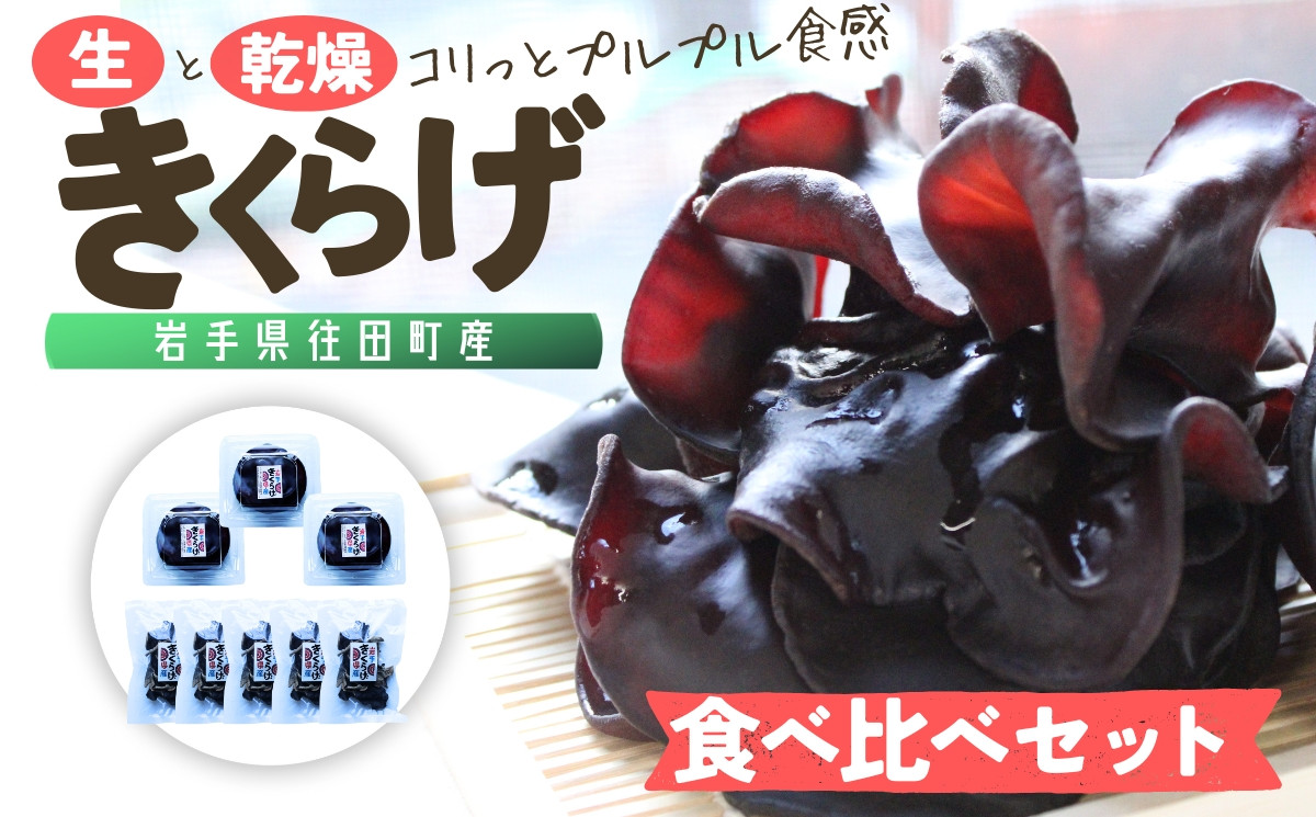 
                  岩手県産 生きくらげ・乾燥きくらげ 食べ比べセット (乾燥50g・生120g) コリっとプルプル食感がたまらない国産きくらげ/ きくらげ 生きくらげ 乾燥きくらげ 木耳 キノコ 国産【#0126】
                