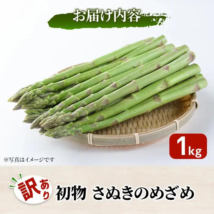 ＜先行予約！2027年2月中旬以降順次発送予定＞＜訳あり＞初物！アスパラガス さぬきのめざめ(約1kg) 香川県 国産 野菜 アスパラ 新鮮 冷蔵便 【man090】【Aglio nero】