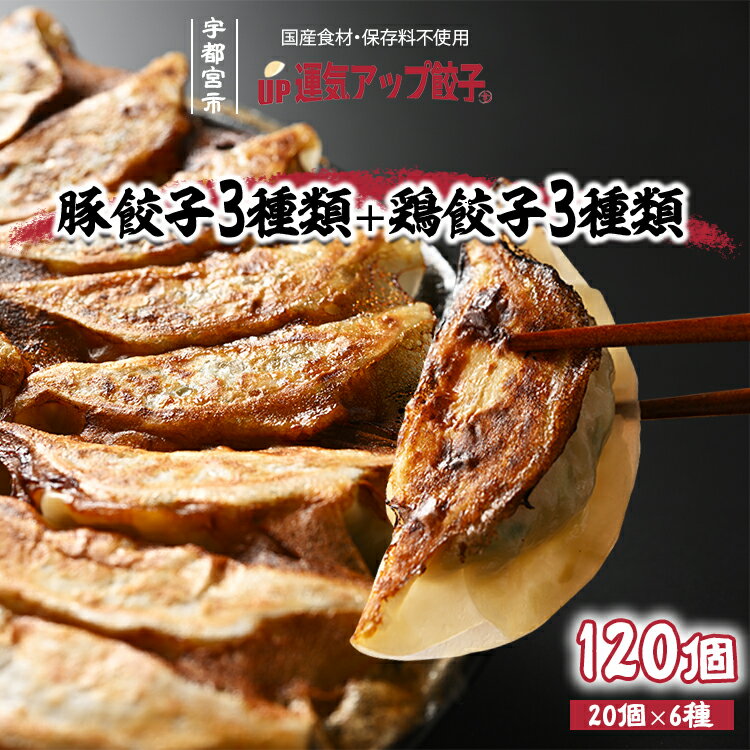 【ふるさと納税】宇都宮餃子 運気アップ餃子 6種類味比べ(合計120個)【 餃子 食べ比べセット 冷凍餃子 冷凍食品 惣菜 栃木県 宇都宮市 】※配送不可地域：離島
