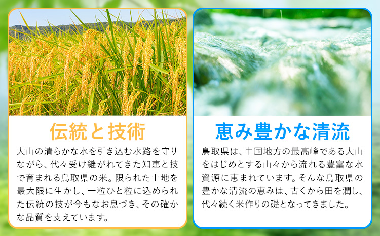 【6ヶ月定期便】鳥取 ふるさと 白米 10kg 清流しずく米《お申し込み月の翌月から出荷開始》鳥取県 八頭町 米 お米 ご飯 八頭 ふるさと無洗米 生活応援 ブレンド米 複数原料米 訳あり 小分け k
