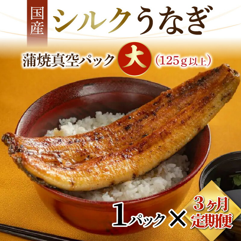 【ふるさと納税】【定期便】【3ヶ月連続お届け】シルクうなぎ蒲焼真空パック 大（125g以上）×1パック 合計375g以上 3パック | ＜やなのうなぎ観光荘＞ 鰻 ウナギ 丑の日 定期便 蒲焼き かば焼き 個包装 小分け 冷凍 クール便 国産 岡谷市 のし対応 時短調理 暑さ 対策